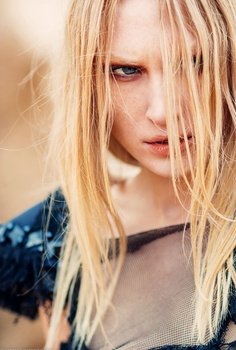 Kate D.