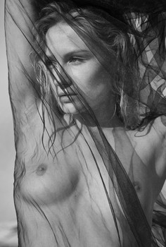Kate D.