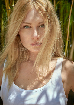 Kate D.