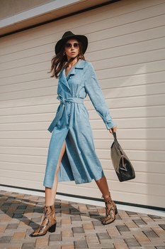 Alina ID