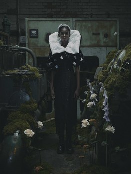 Damilola 