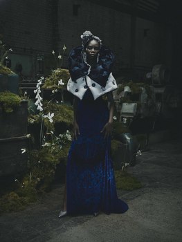 Damilola 